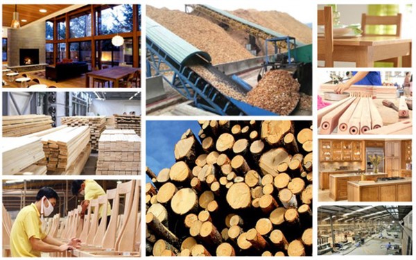 Cần giải ''bài toán'' thiếu nguyên liệu gỗ