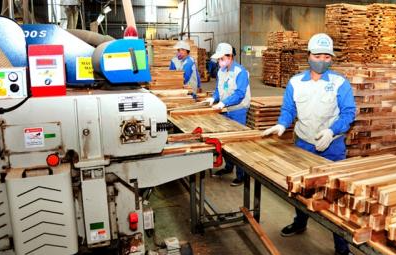 Ngành gỗ hướng đến mục tiêu xuất khẩu 14,5 tỷ USD