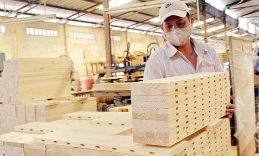 Việt Nam-Hoa Kỳ hợp tác kiểm soát khai thác, thương mại gỗ bất hợp pháp
