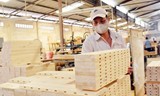 Đề xuất quy định phân loại doanh nghiệp chế biến, xuất khẩu gỗ