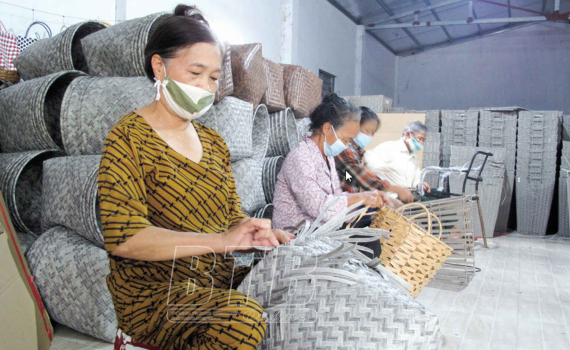 Thái Bình: Làm giàu từ nghề đan lát thủ công
